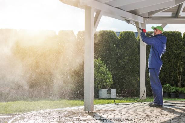 Best Animal Enclosure Cleaning  in Caledonia, MI