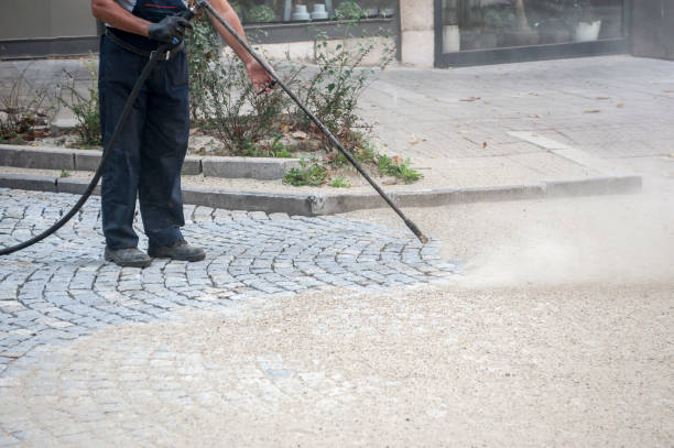 Best Parking Lot and Garage Cleaning  in Caledonia, MI